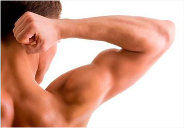 Antebrazo